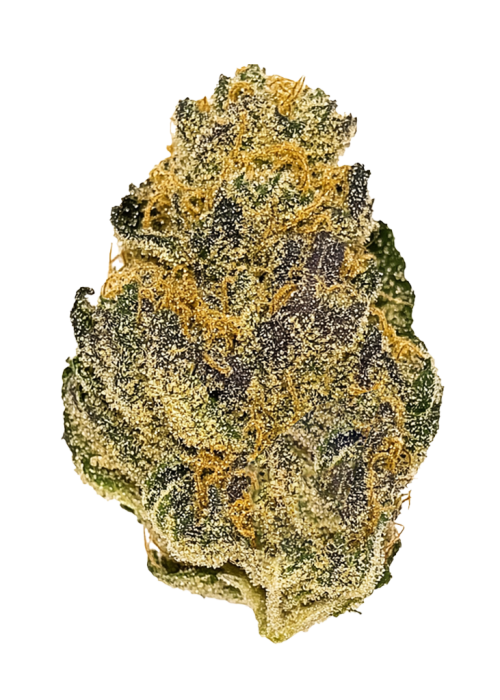 Apple Gelato
