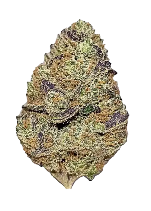 Paris OG