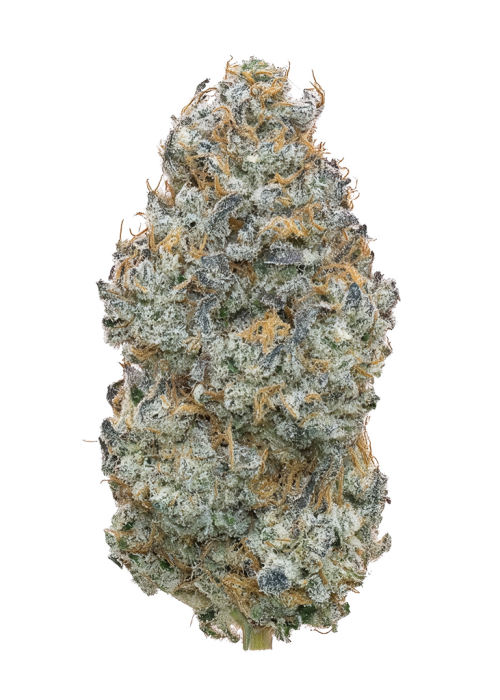 Grim Bastard OG