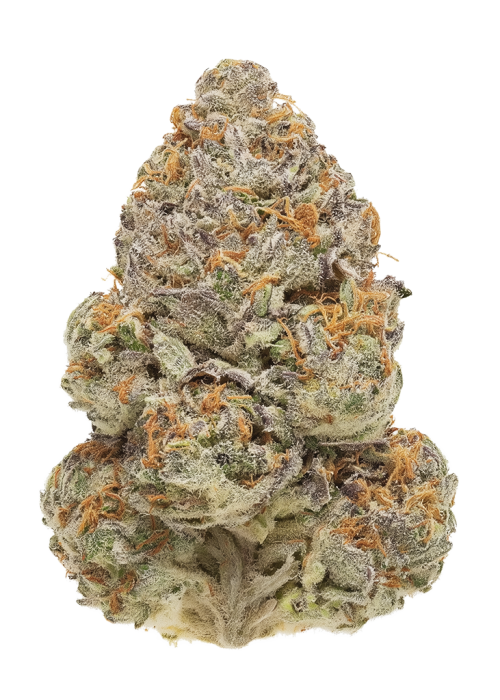 Frosty
