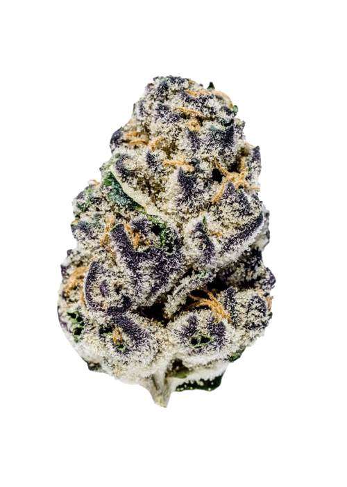 Blueberry Yum Yum