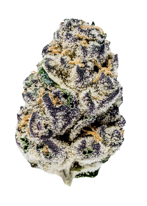 Blueberry Yum Yum