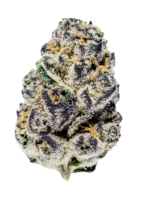 Blueberry Yum Yum