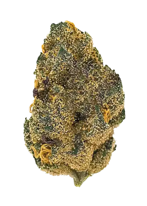 Alohaberry