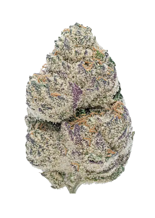 Hawaiian Snow