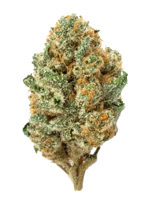 Alien Kush