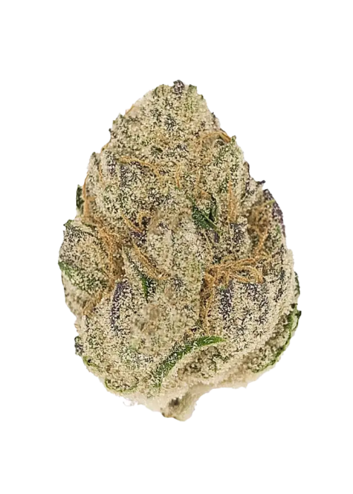 Cookie Dough