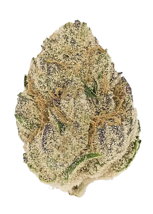 Cookie Dough
