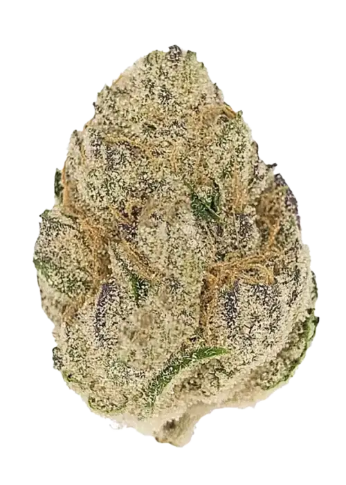 Cookie Dough