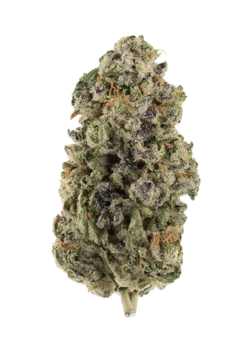 Grape Pie Bx