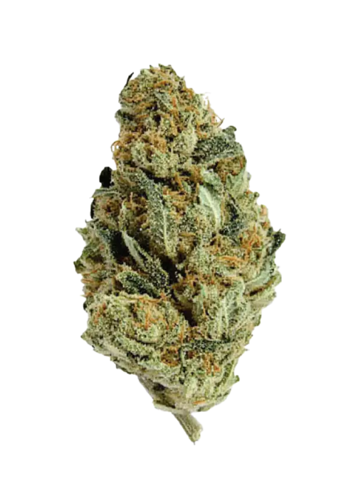 Chocolate Thai