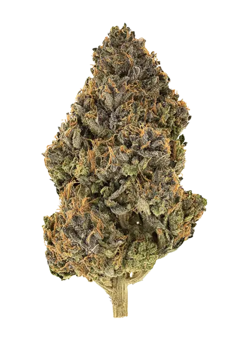 Lemon Diesel