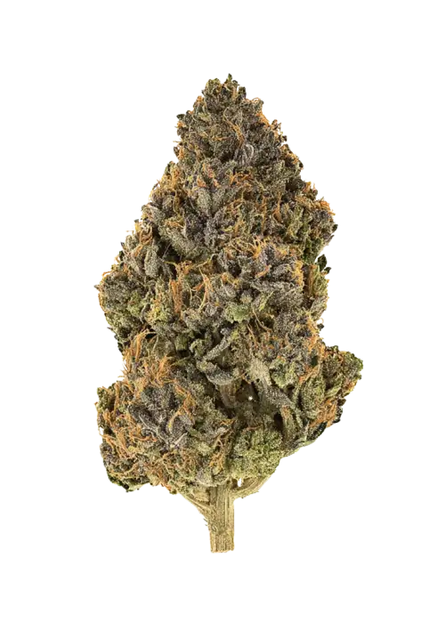 Lemon Diesel