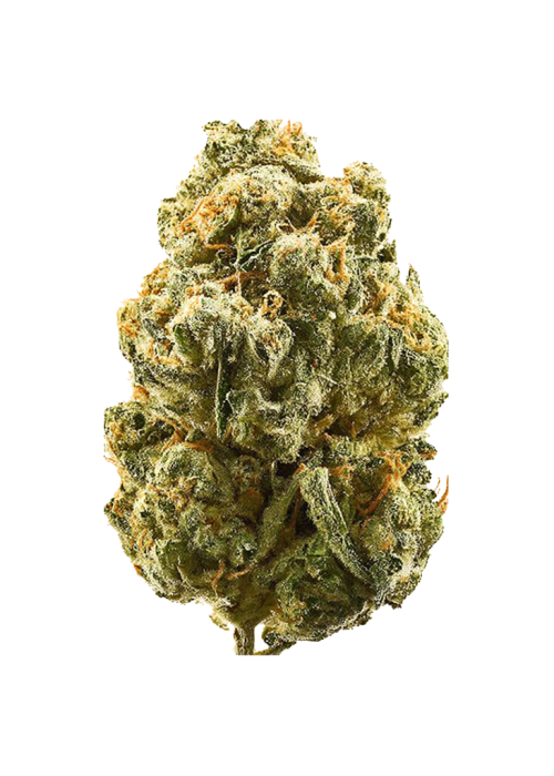 Gelato Cookies