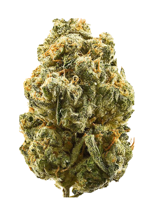 Gelato Cookies
