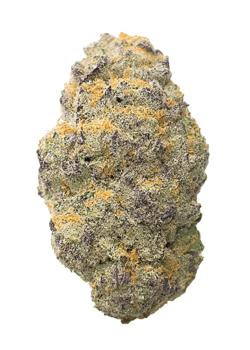 Bruce Banner