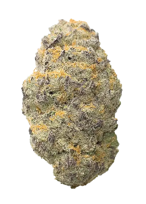 Bruce Banner