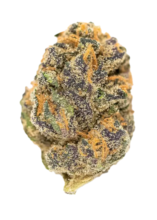 Bruce Banner