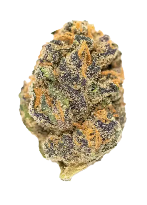 Bruce Banner