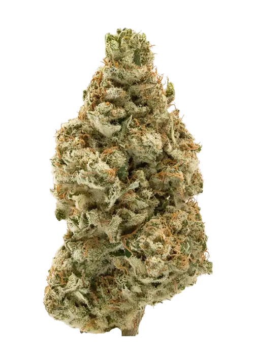 Grape Durban
