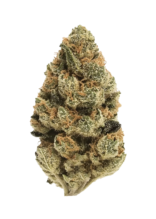 Candy Cane