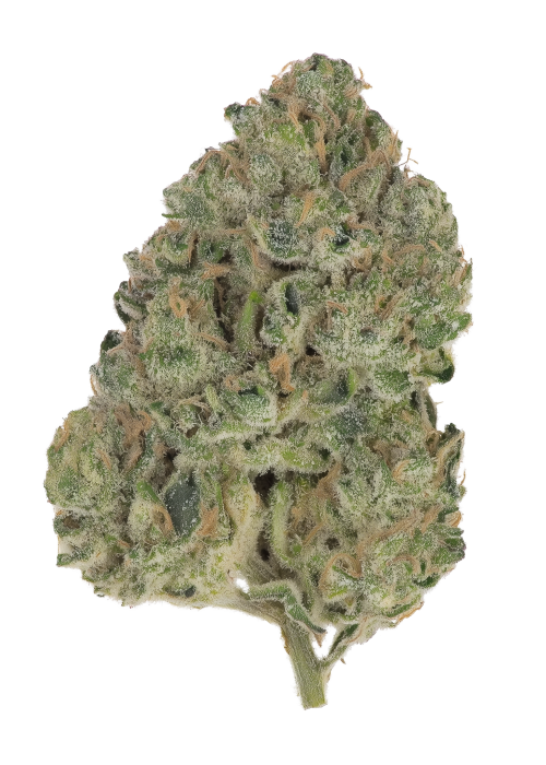 Elevated OG