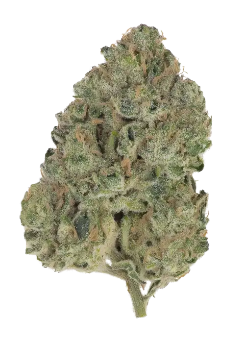 Elevated OG
