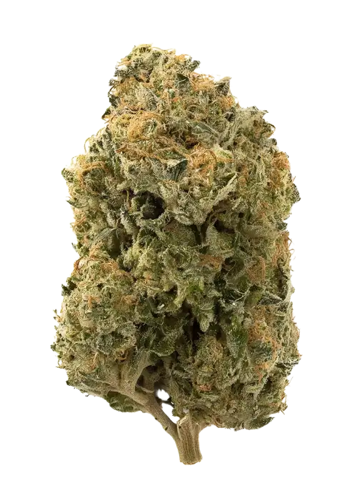 Bubble Berry
