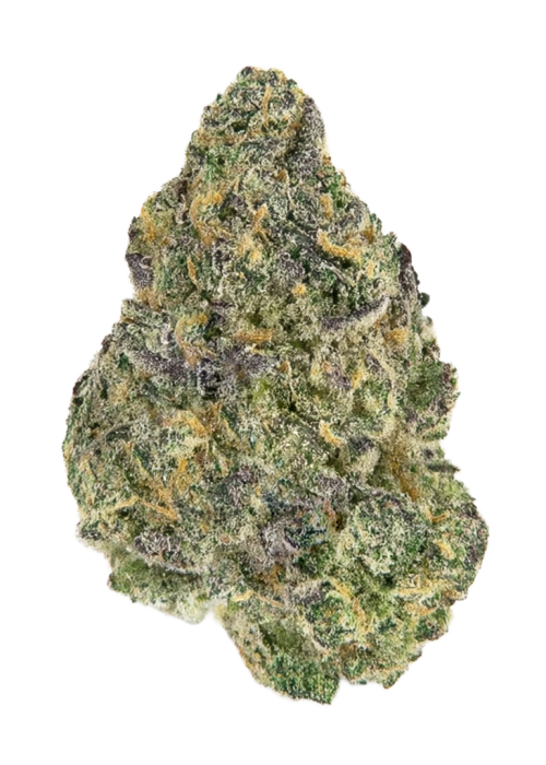 Grape Smuggler