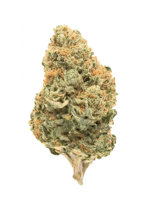 Blueberry Cheesecake