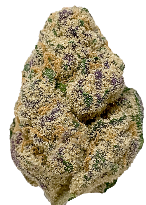 Strawberry Amnesia