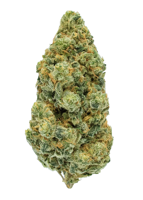 G13 Haze