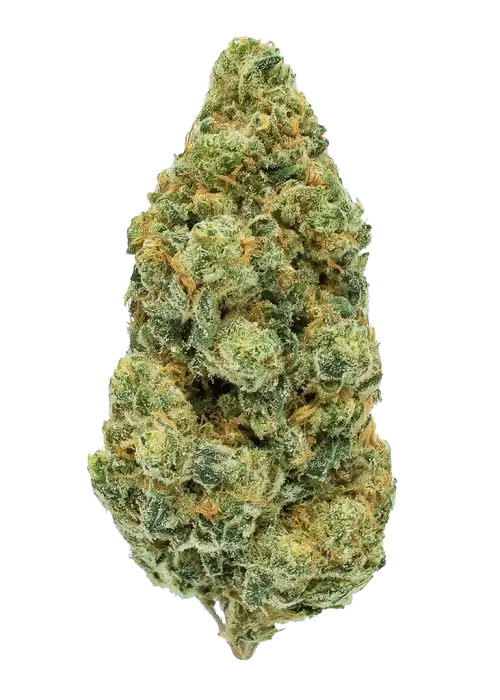 G13 Haze