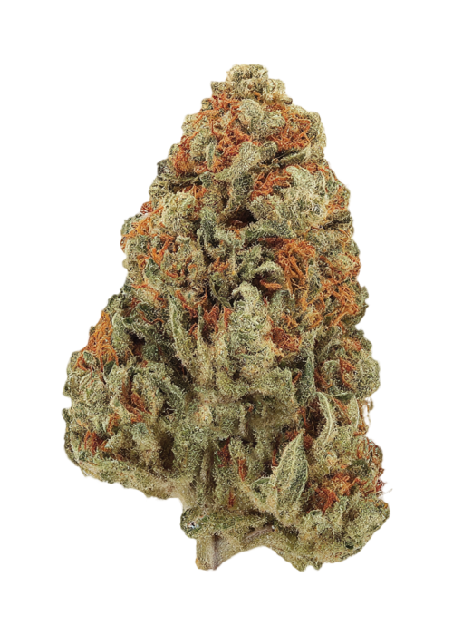 Jack the Ripper