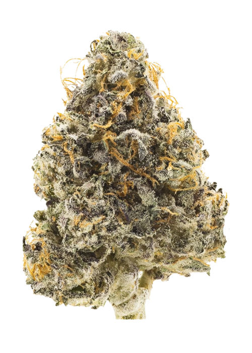 Peyote Cookies