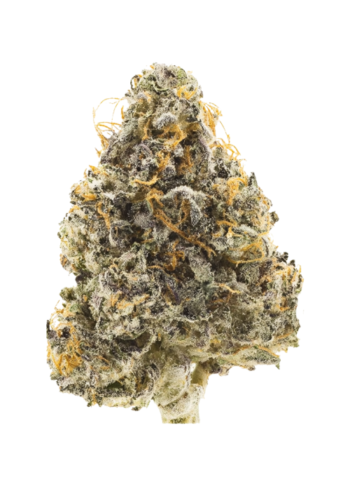 Peyote Cookies