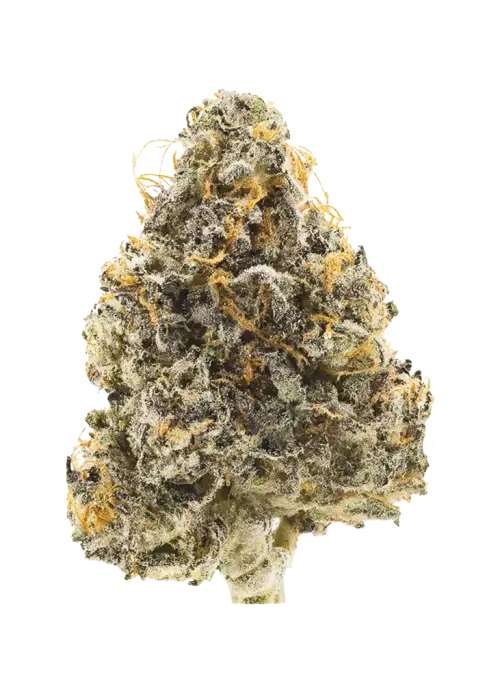 Peyote Cookies