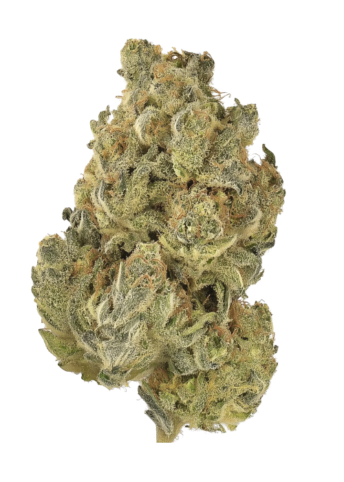 Honey Lemon Hibiscus