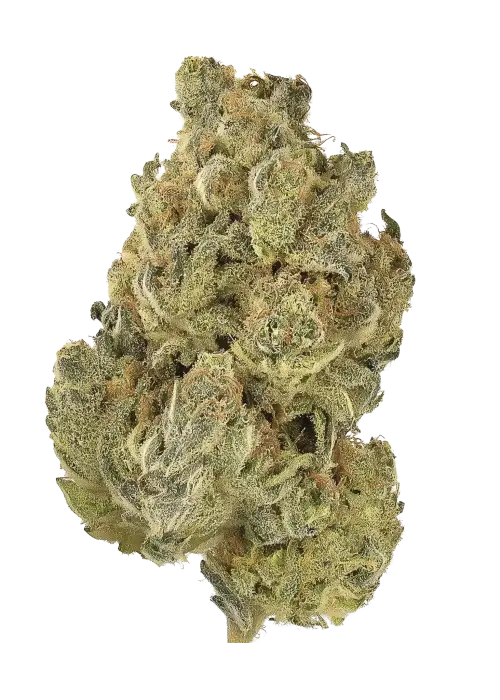 Honey Lemon Hibiscus