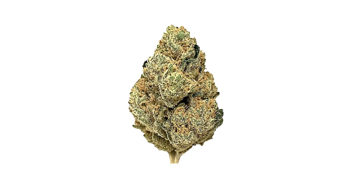 Jungle Juice Cannabis Strain Information - GrowDiaries