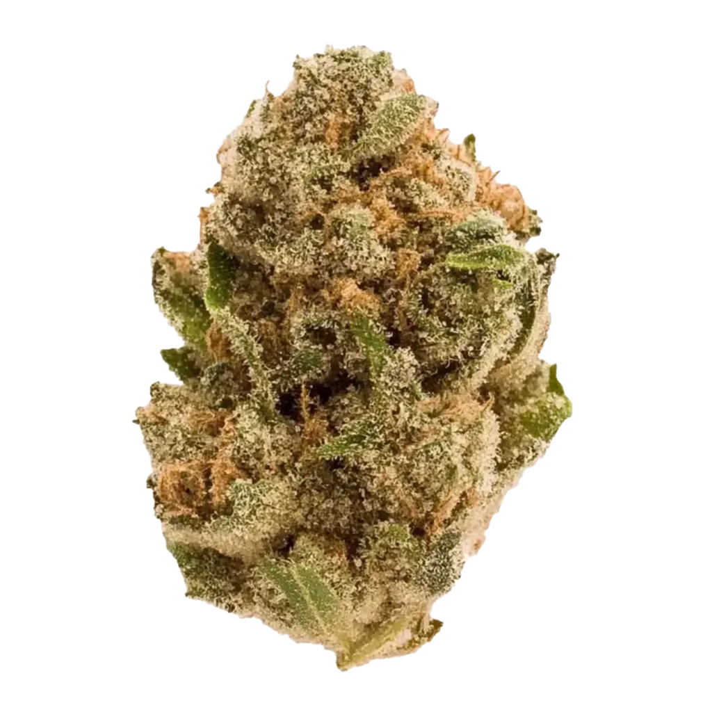 Purple Haze Cannabis Strain Information - GrowDiaries