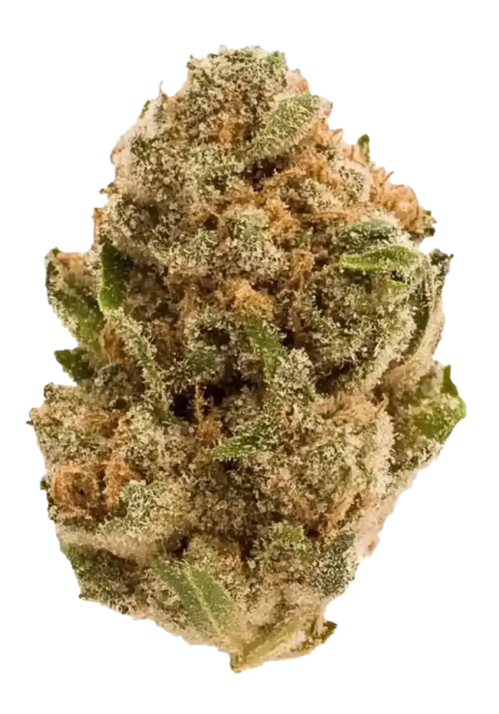 Purple Haze
