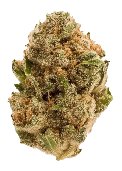 Purple Haze