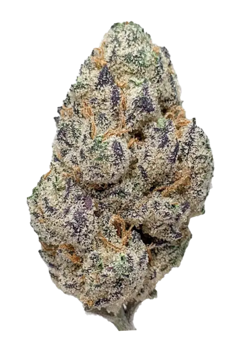 Purple Raine