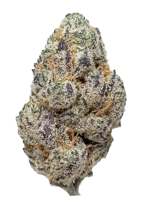 Purple Raine