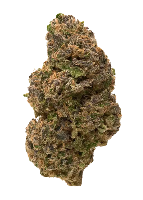 Kushberry