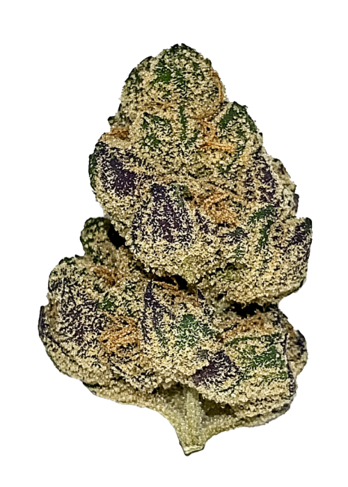 Blue Diesel