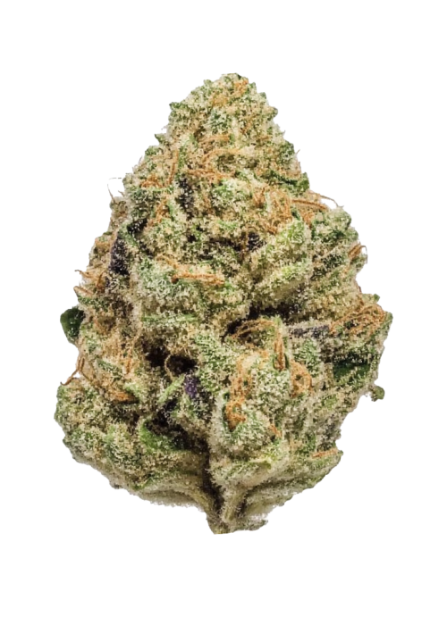 Black Afghan