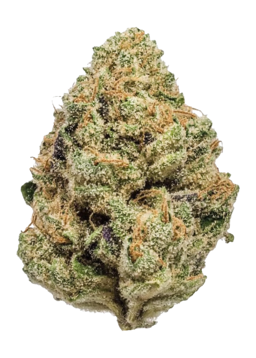 Black Afghan