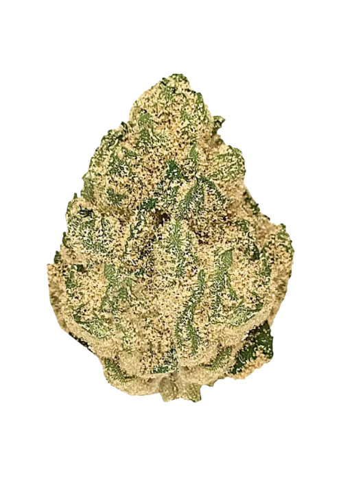 Jelly Roll